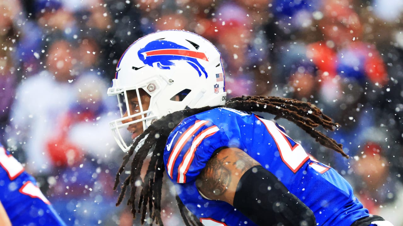 Photographers Choice Best Bills Feature Photos From 2022