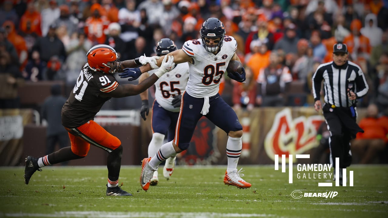 Gameday Gallery Bears Vs Browns