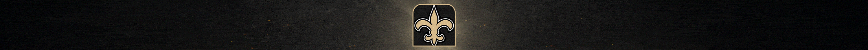 New Orleans Saints 2025