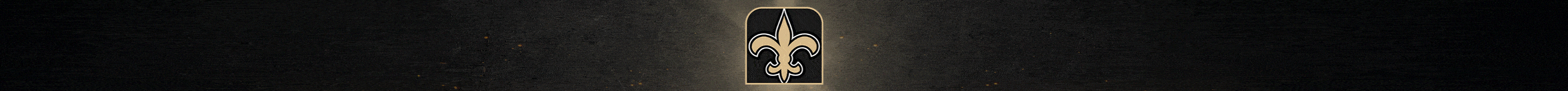 New Orleans Saints 2025