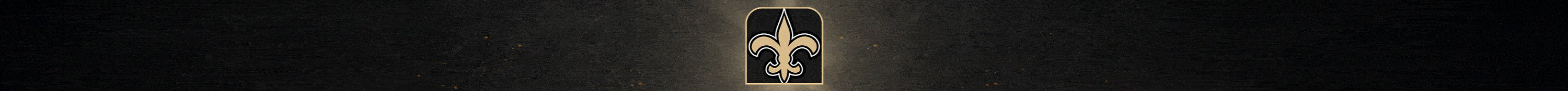 New Orleans Saints 2025