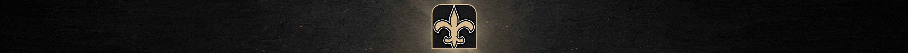 New Orleans Saints 2025