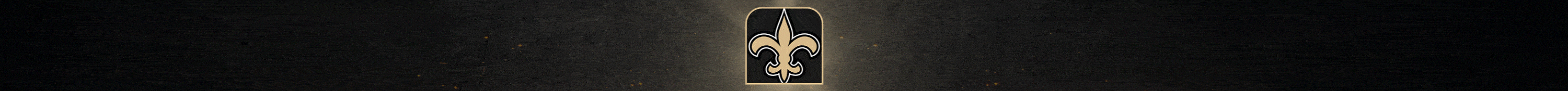 New Orleans Saints 2025