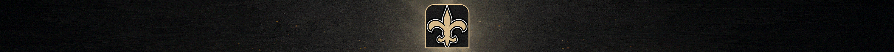 New Orleans Saints 2025