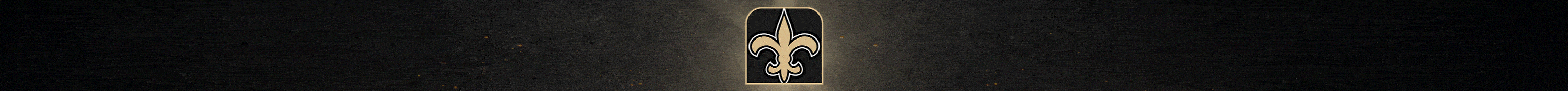 New Orleans Saints 2025