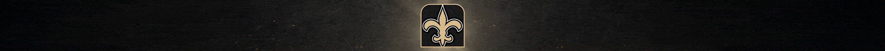 New Orleans Saints 2025