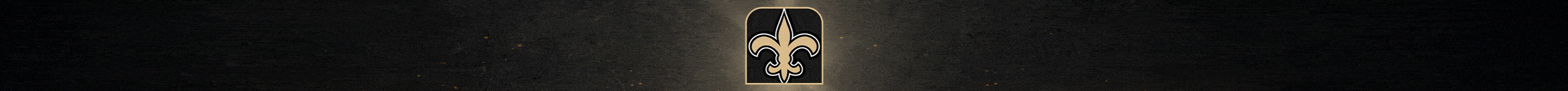 New Orleans Saints 2025