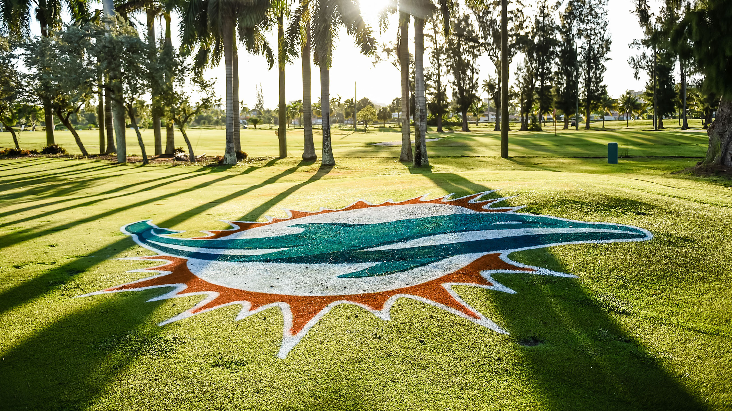 background image for protected page form