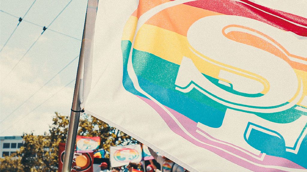 49ers Pride Flag