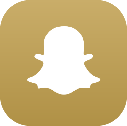 Icons-White-GoldGradient-Snap