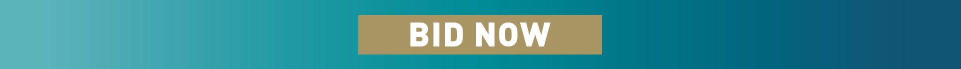 Playoffs-for-Purpose-SuperBowl-BidNowWebFooter-1920x138