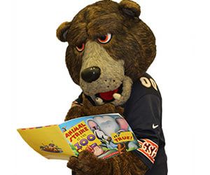 Chicago Bears REV  The Mascot Company