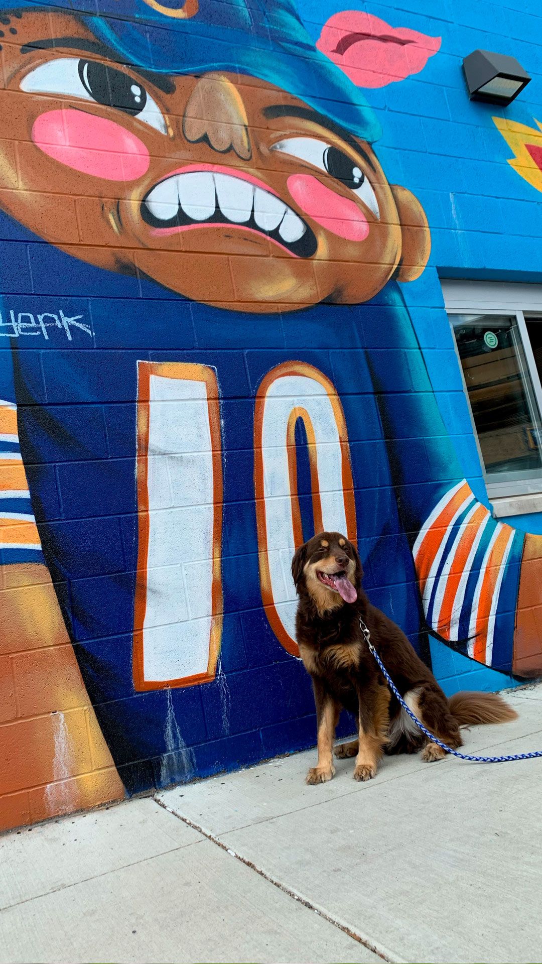 Bears Paws': Chicago Bears launch pet program