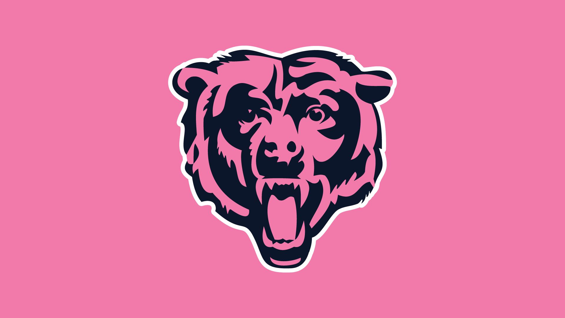 Real Bears Fans Wear Pink