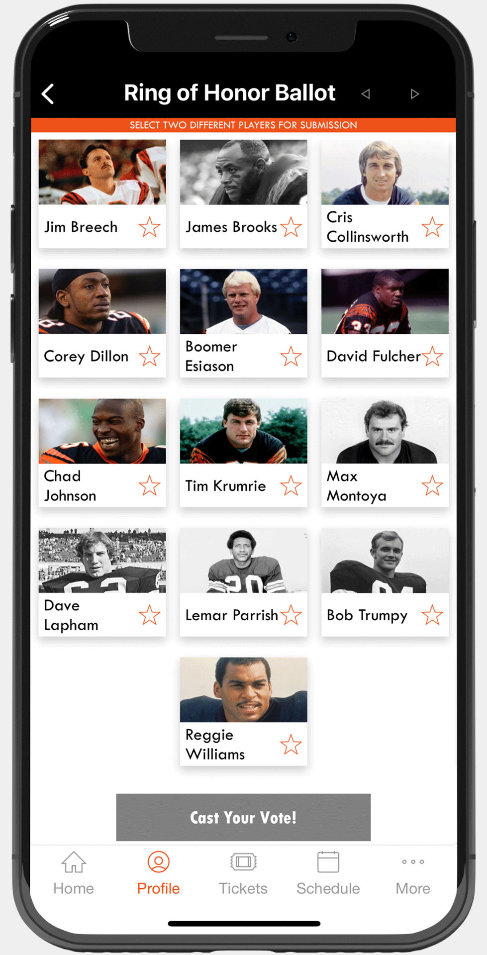 Bengals Ring of Honor Voting, How to Vote? - News