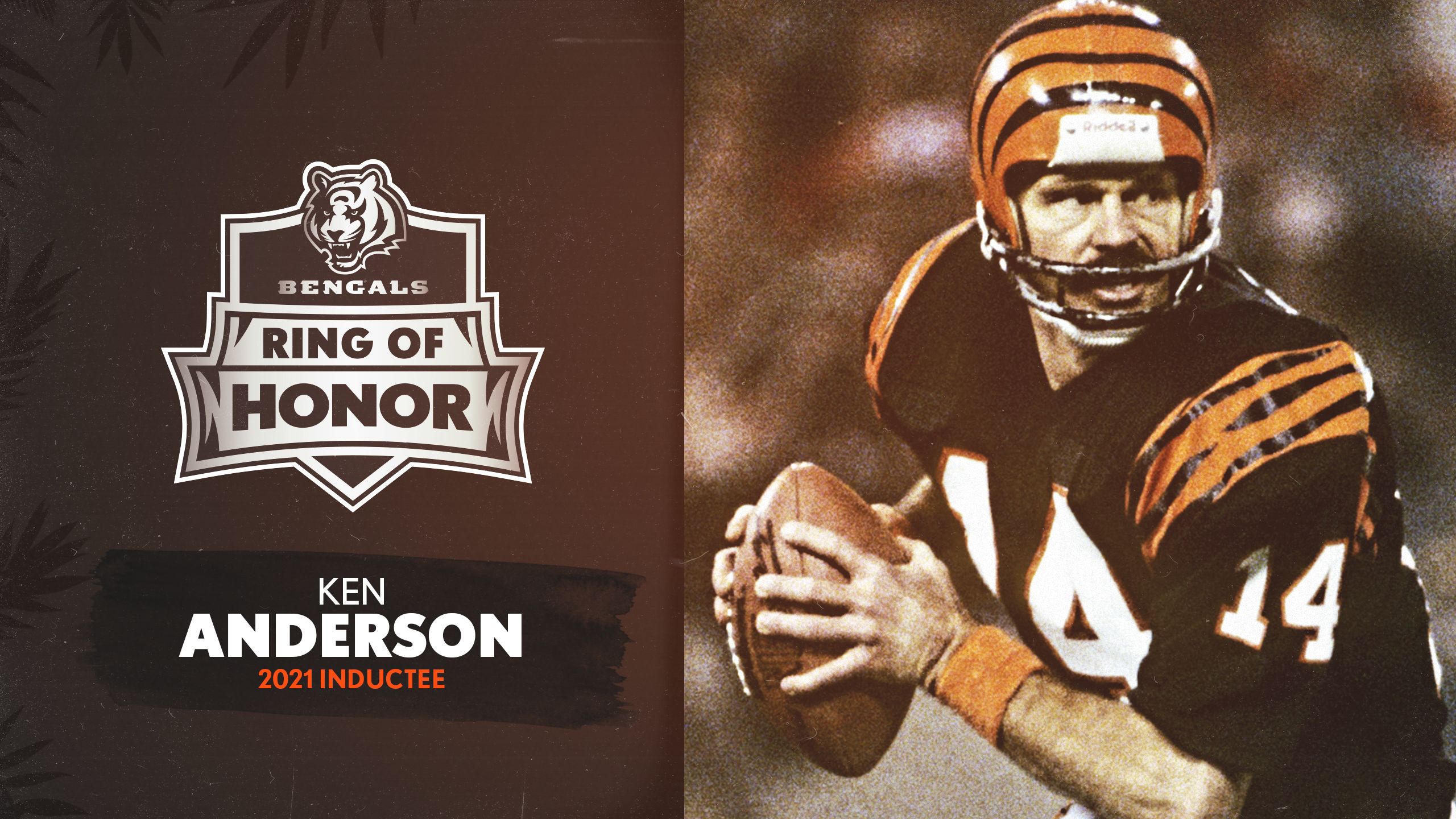 Here are the 17 nominees for the Bengals Ring of Honor