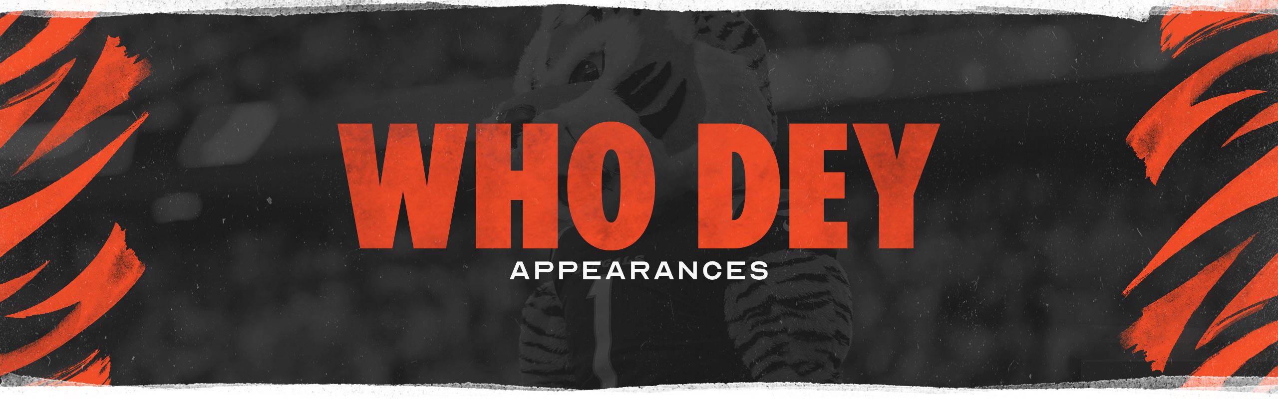 Who Dey Appearances  Cincinnati Bengals 