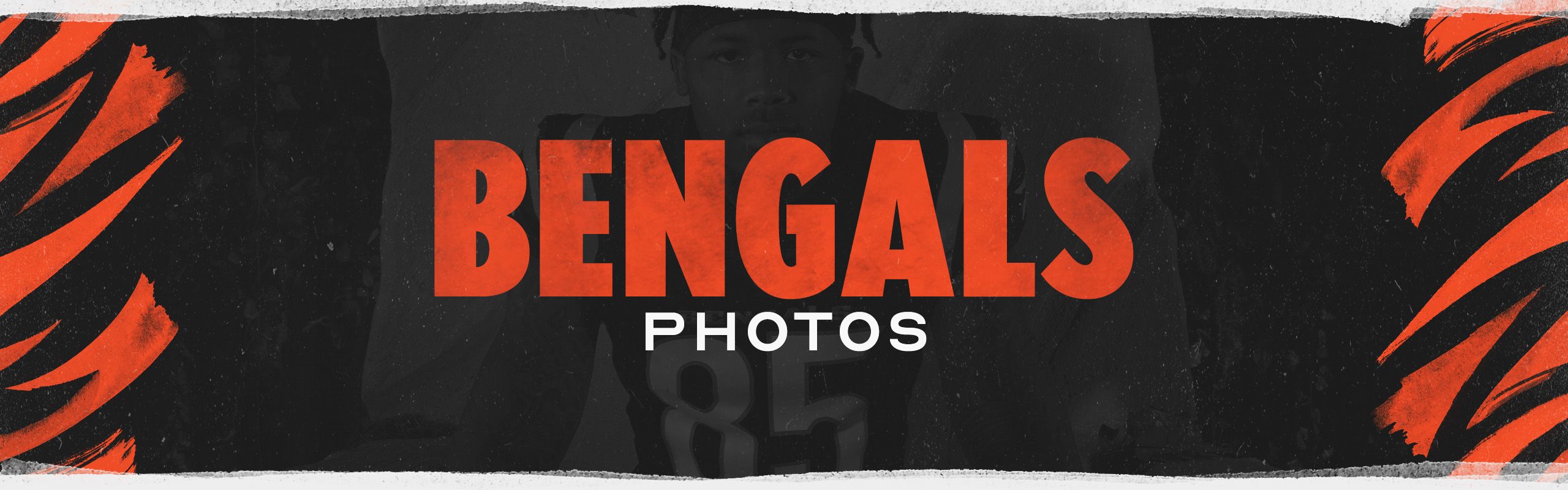 Bengals Photos  Cincinnati Bengals 