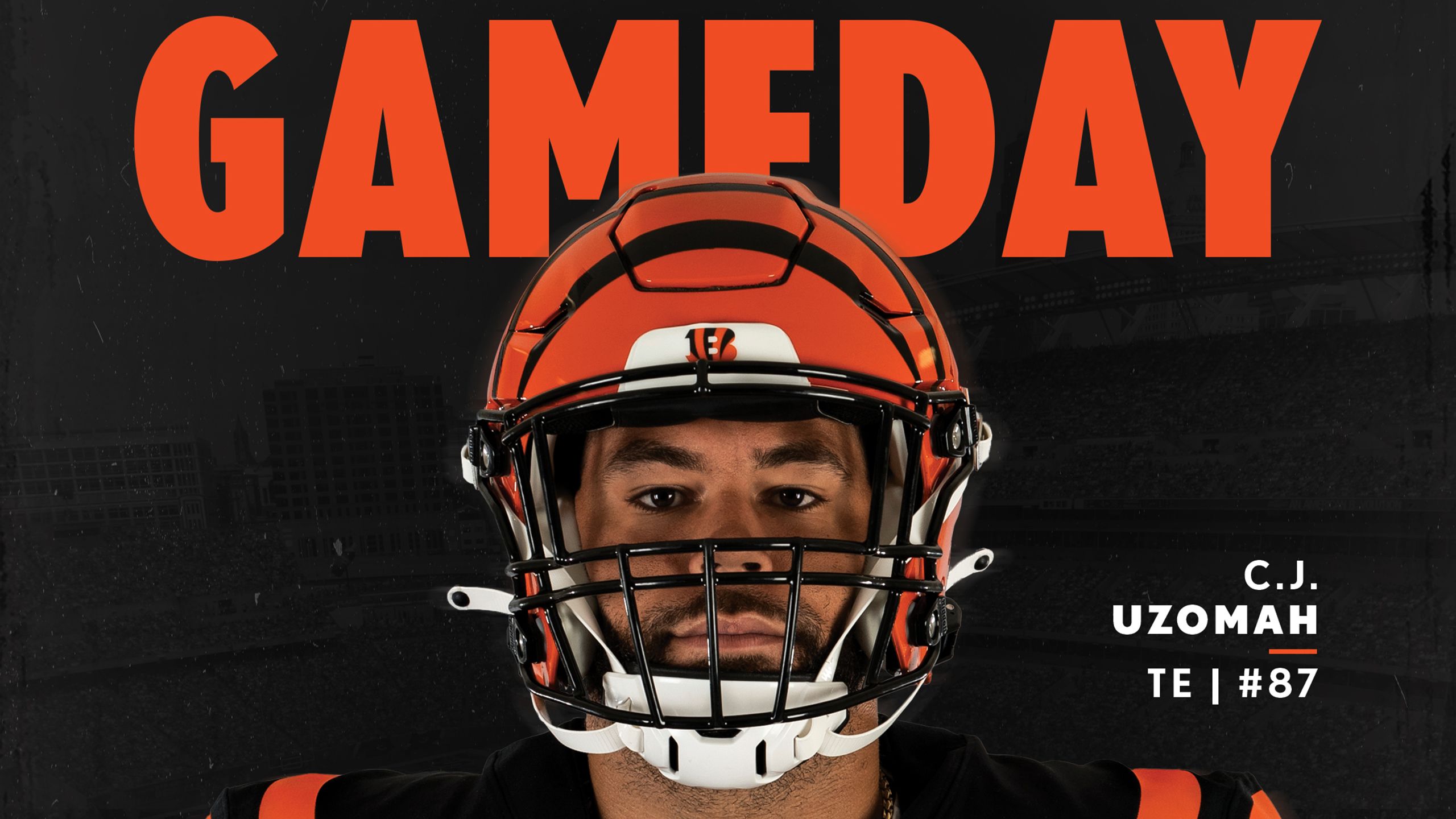 Gameday Programs  Cincinnati Bengals 