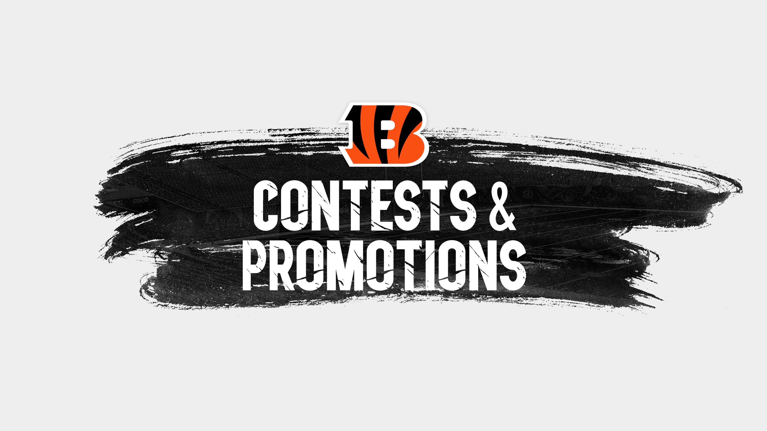 Fan Zone  Cincinnati Bengals 