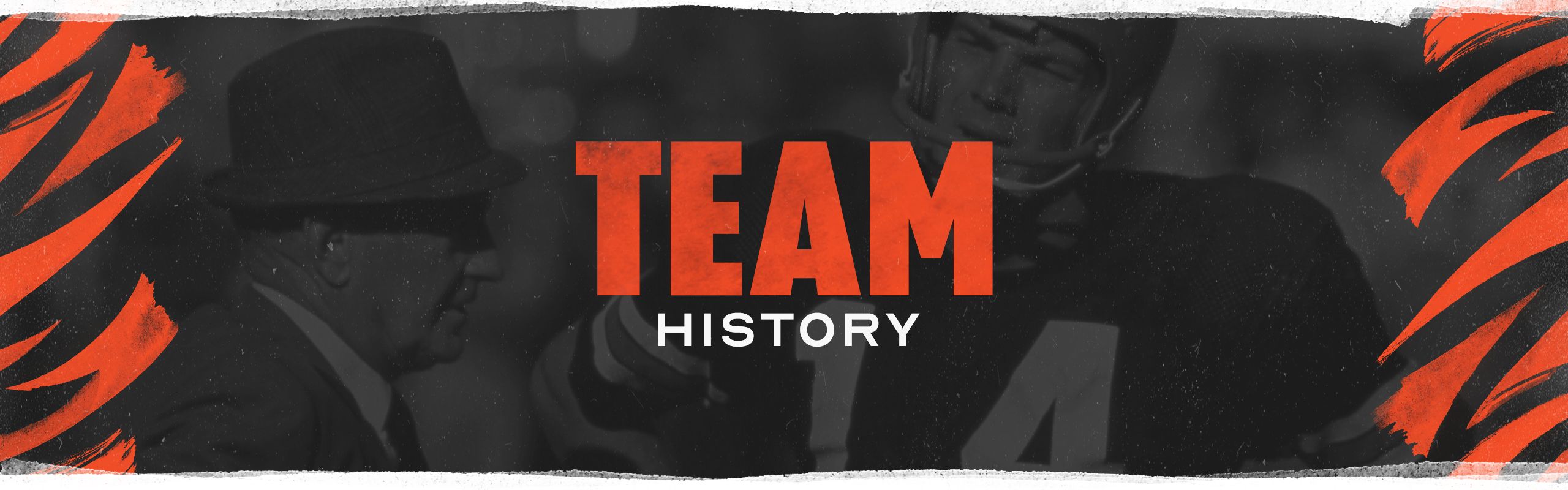 Cincinnati Bengals: Team History