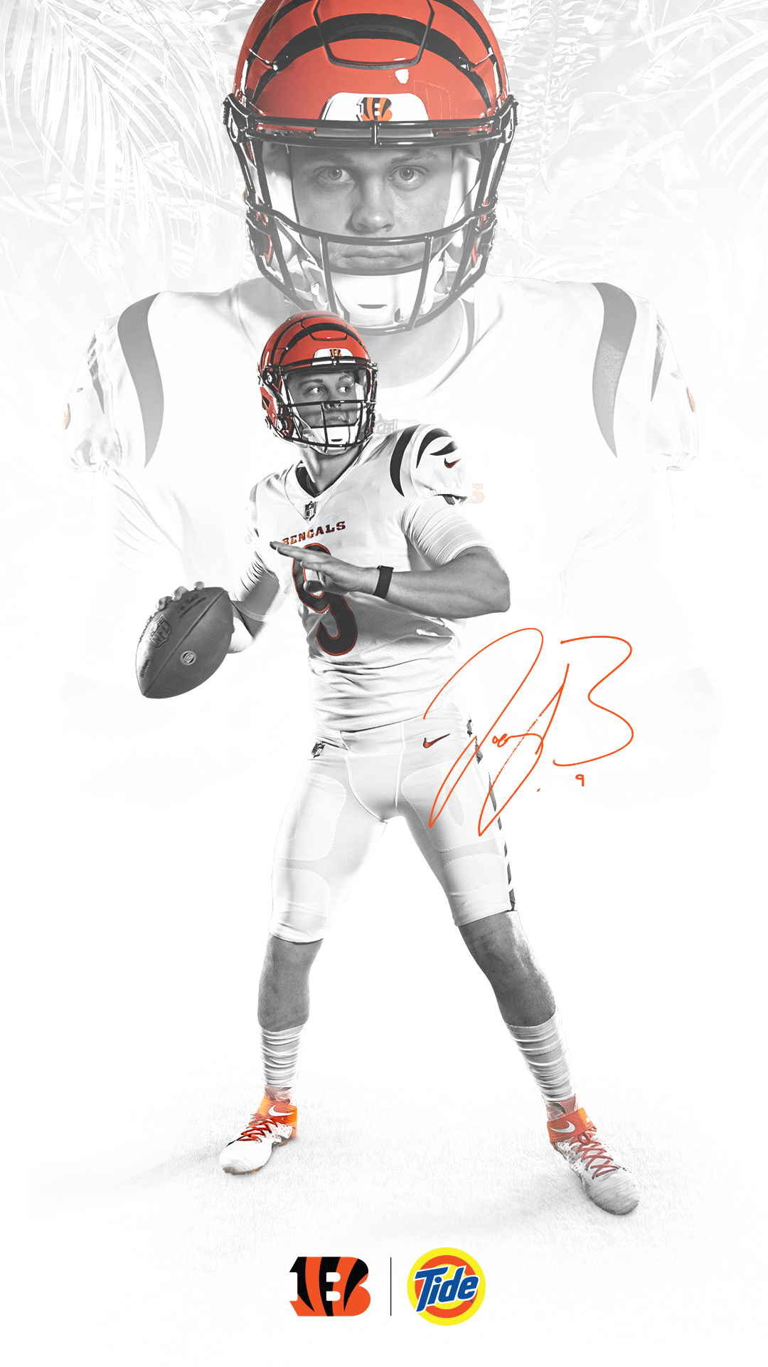 Cincinnati Bengals Fans Wallpaper Bengals Com