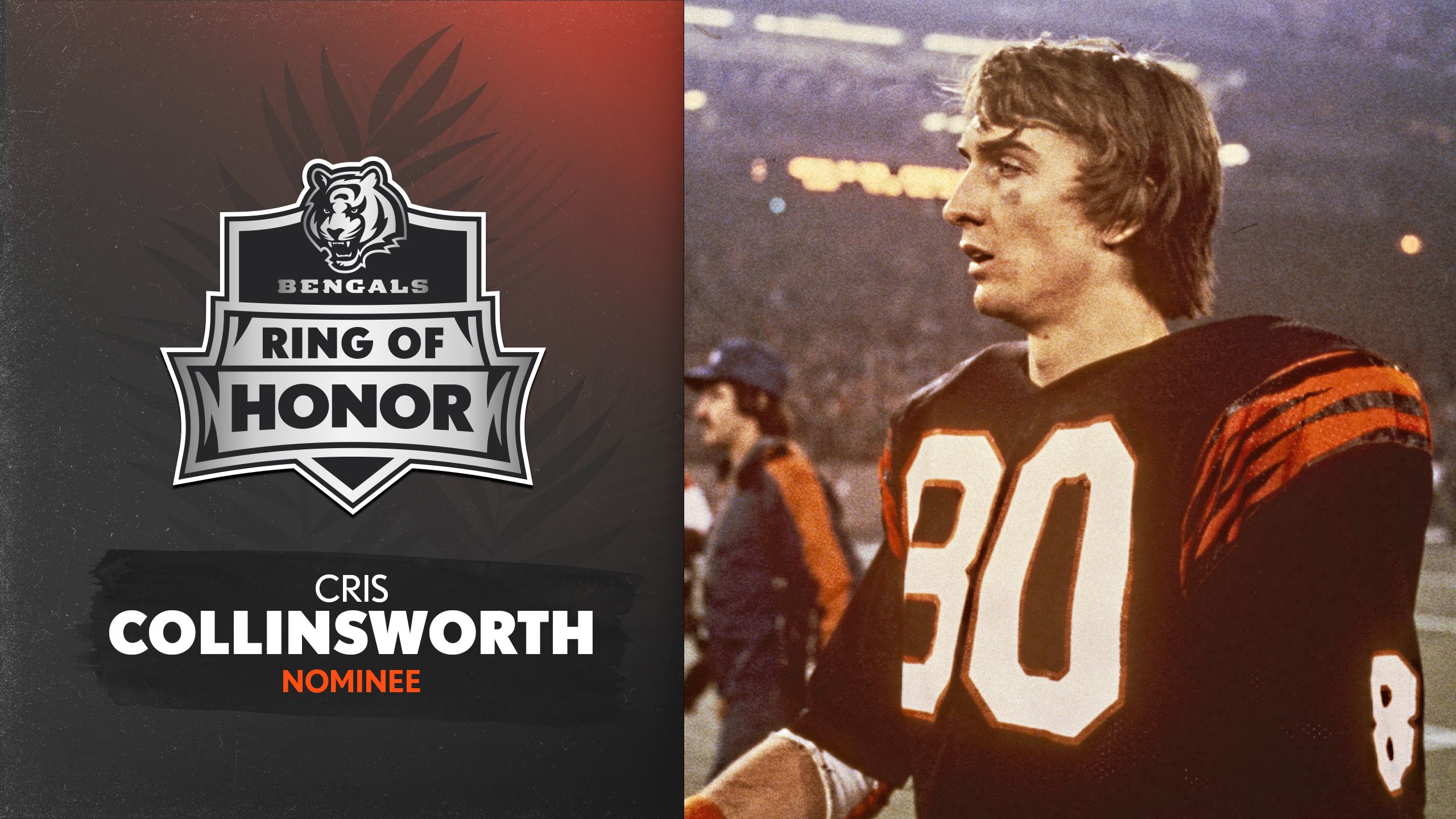 cincinnati bengals cris collinsworth