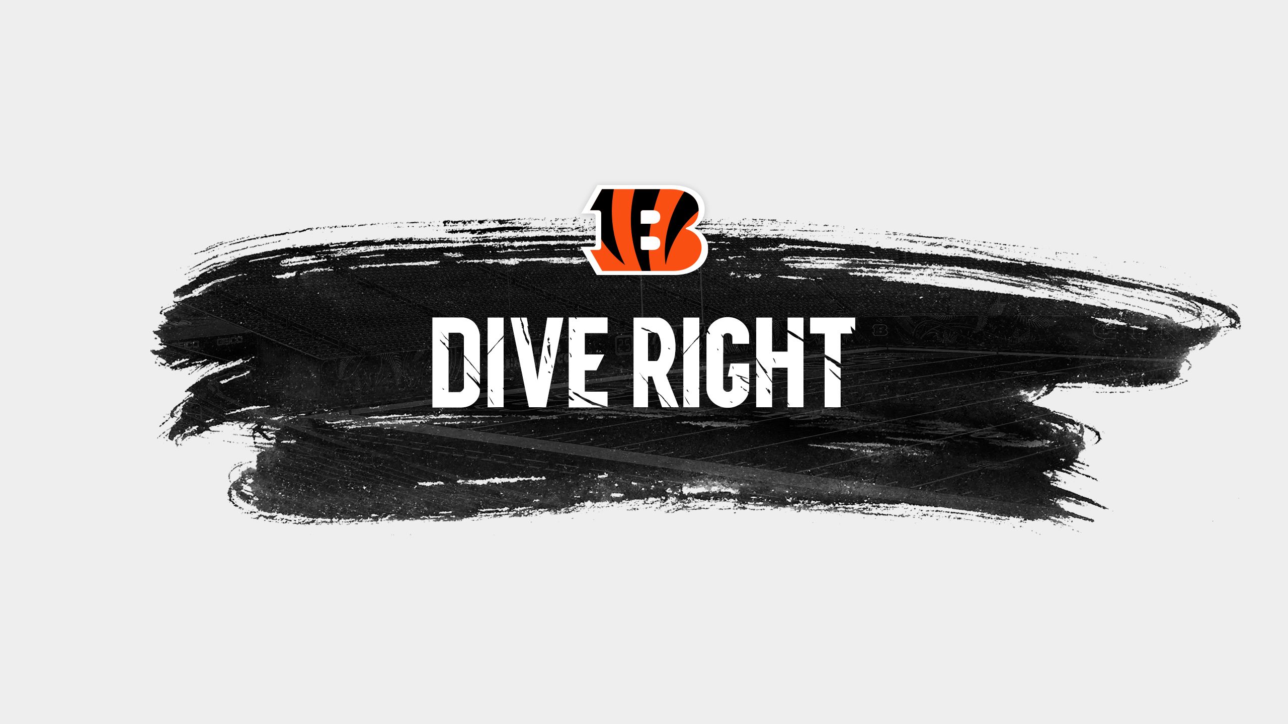 About Dive Right