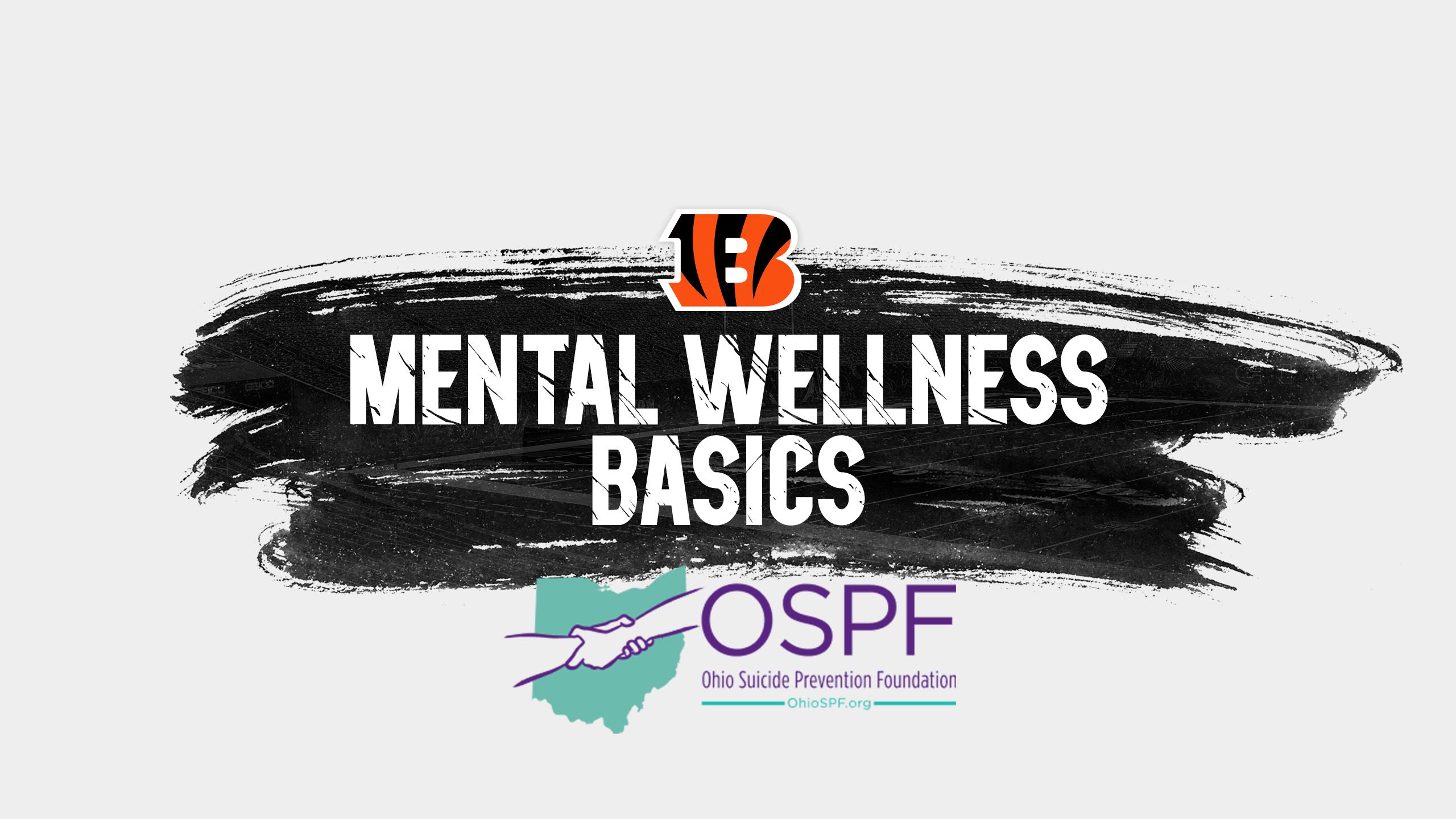Mental Wellness Basics presented locally by Ohio Suicide Prevention Foundation