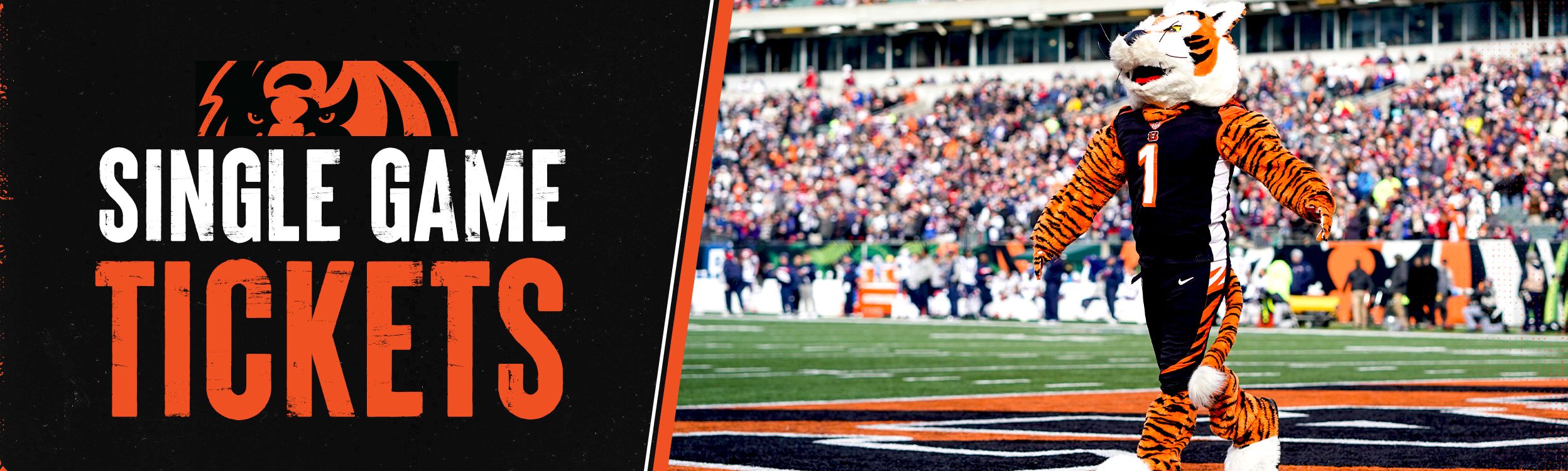 Cincinnati Bengals Tickets Single Game