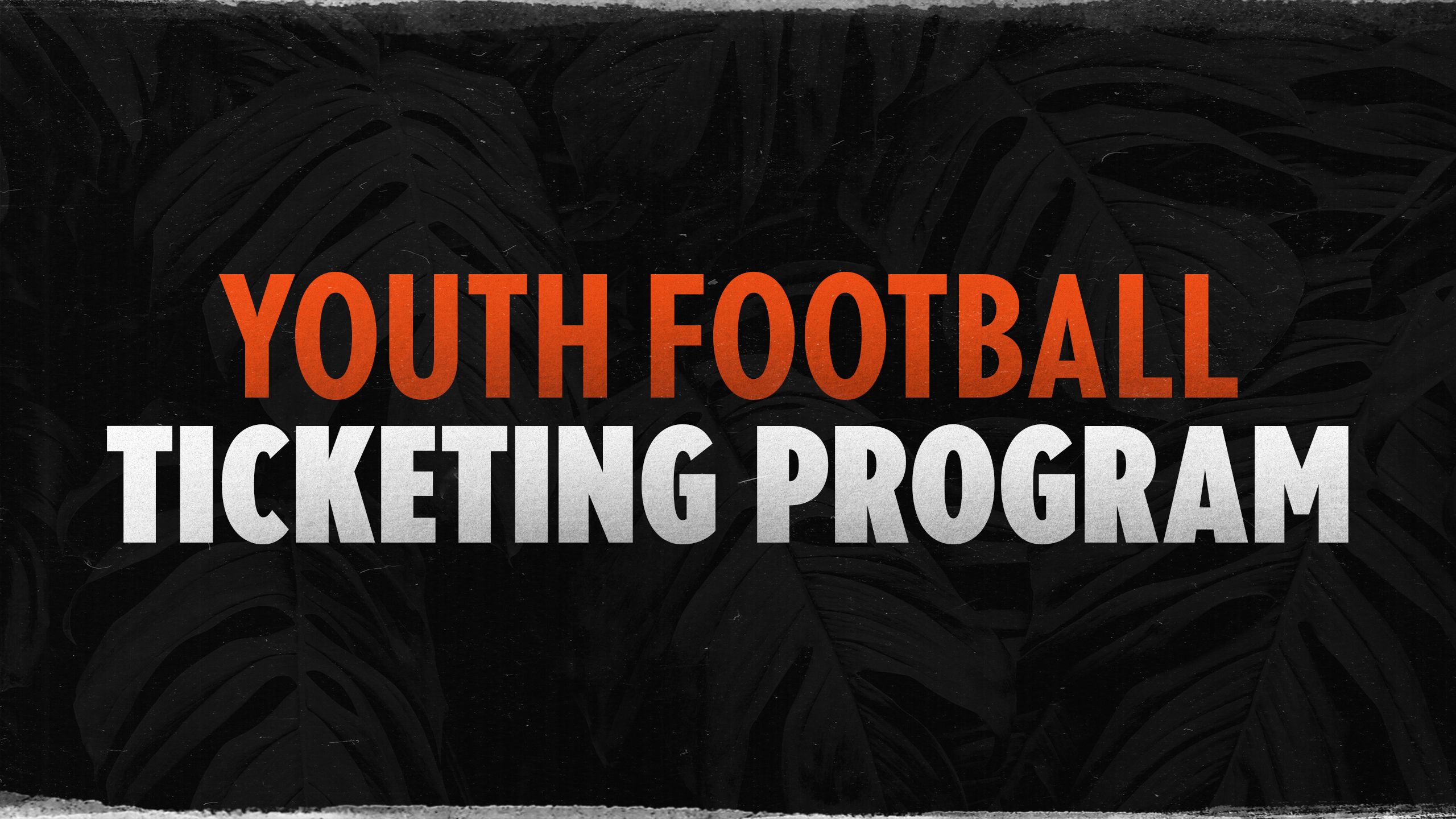 Youth Football Ticketing Program  Cincinnati Bengals 