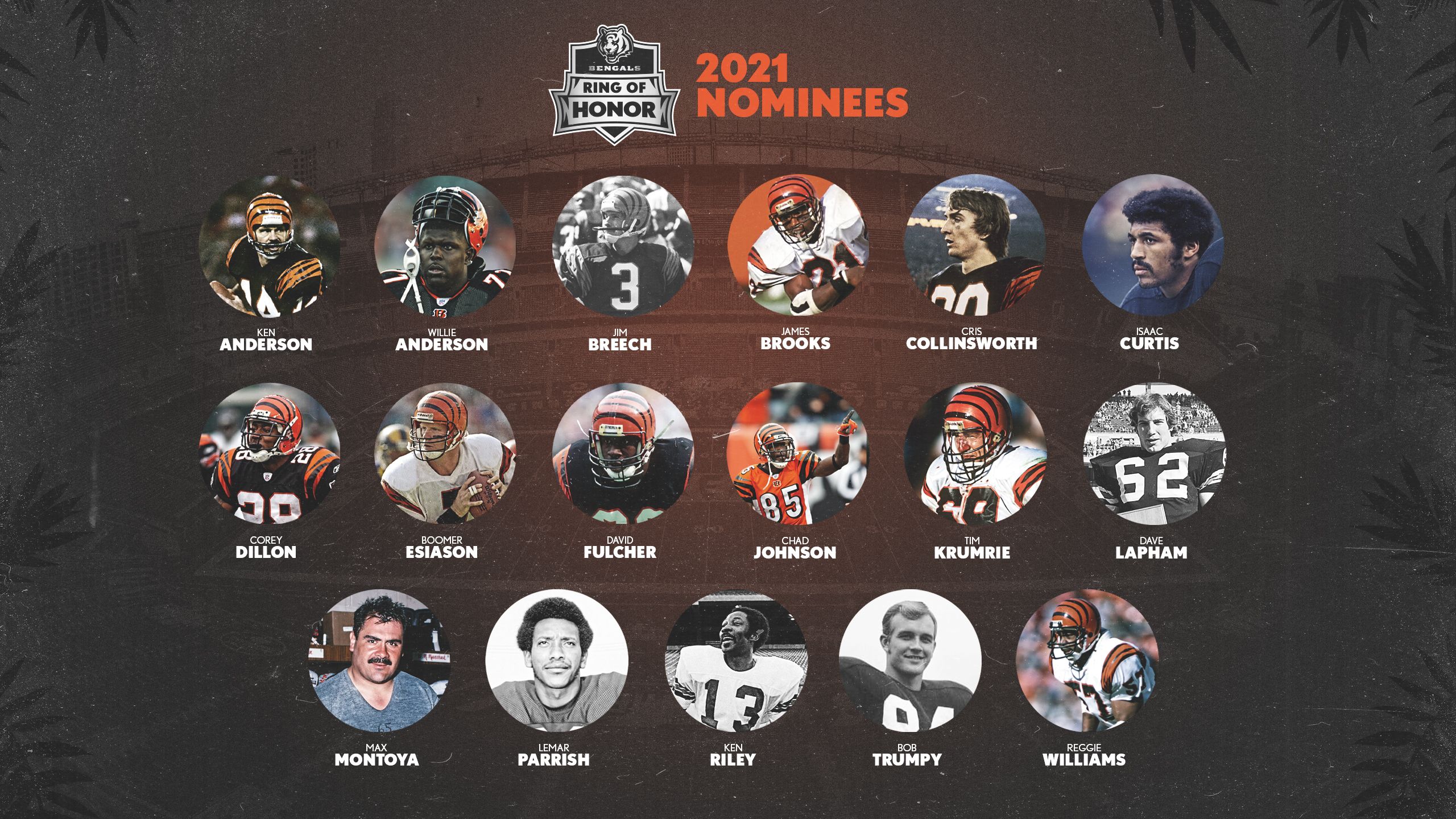 Kampf Sympathie Viele gefährliche Situationen nfl ring of honor