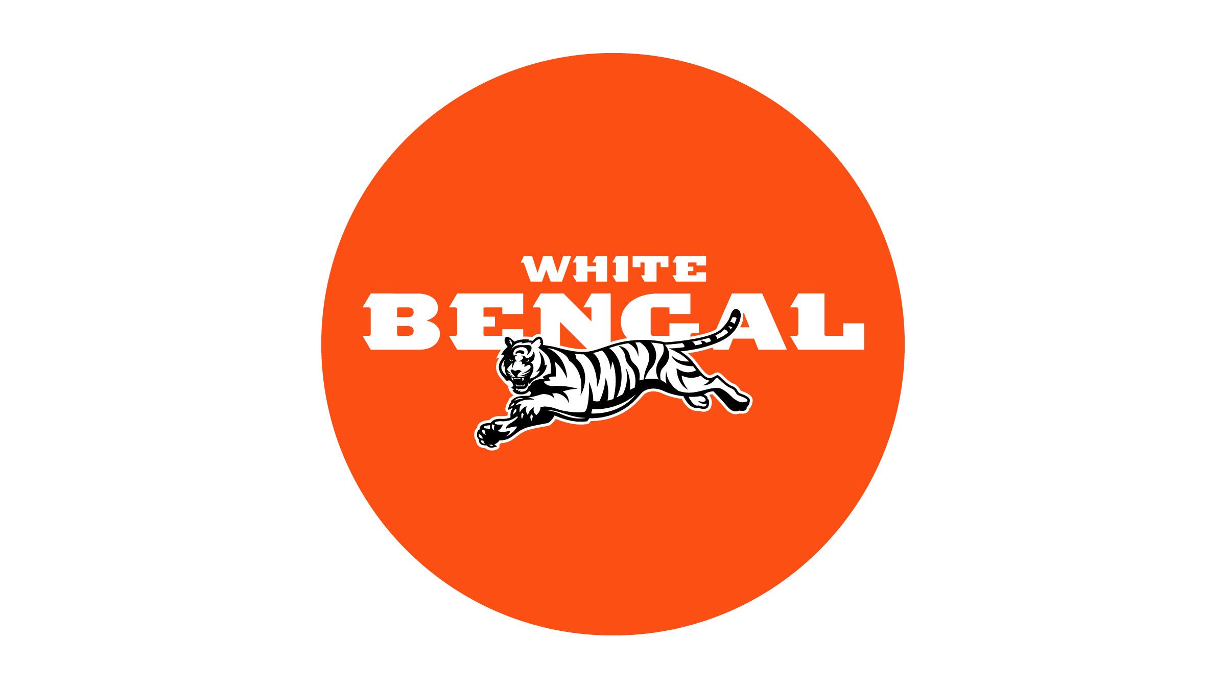 Cincinnati Bengals need to go back to a tiger logo, that B does