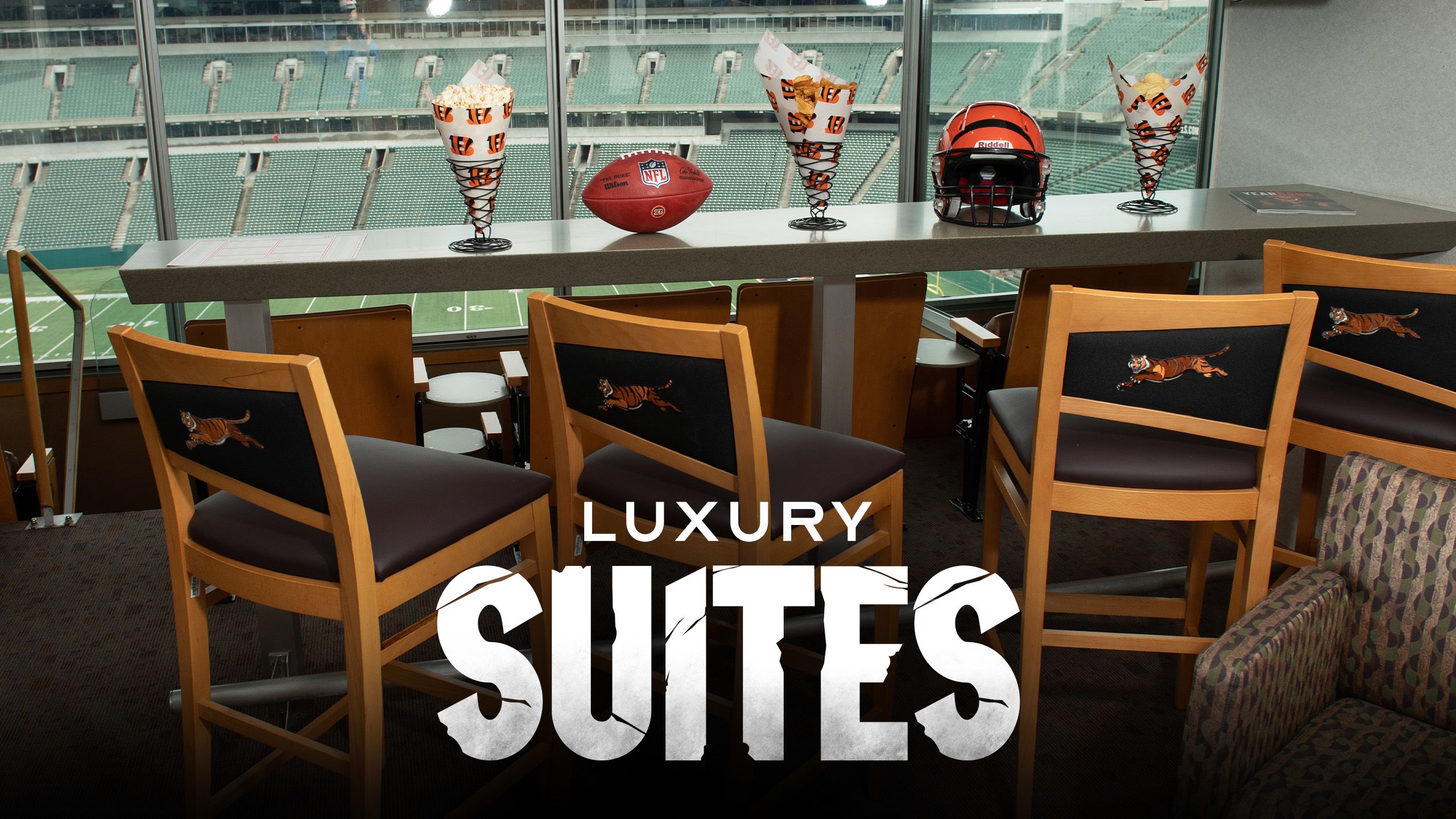 Luxury Suites  Tampa Bay Buccaneers Tickets