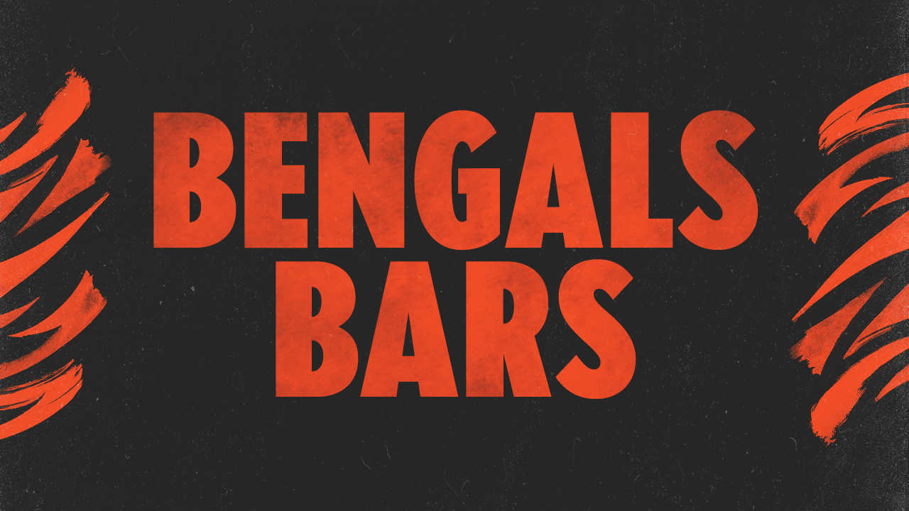 Cincinnati Bengals Wordmark Logo - National Football League (NFL