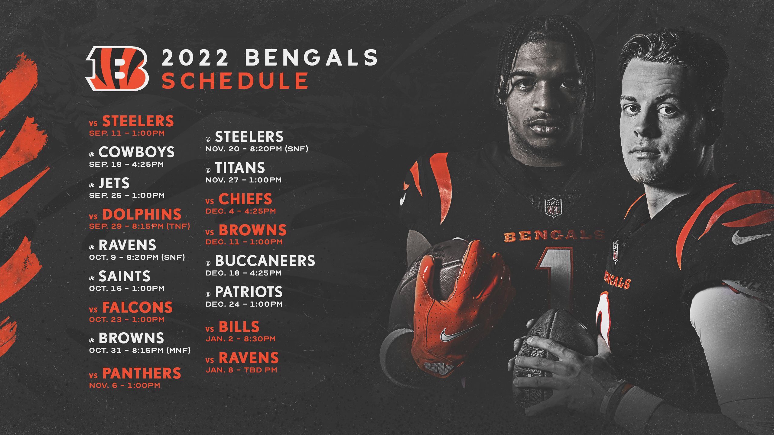 Download Cincinnati Bengals Team Roster Wallpaper