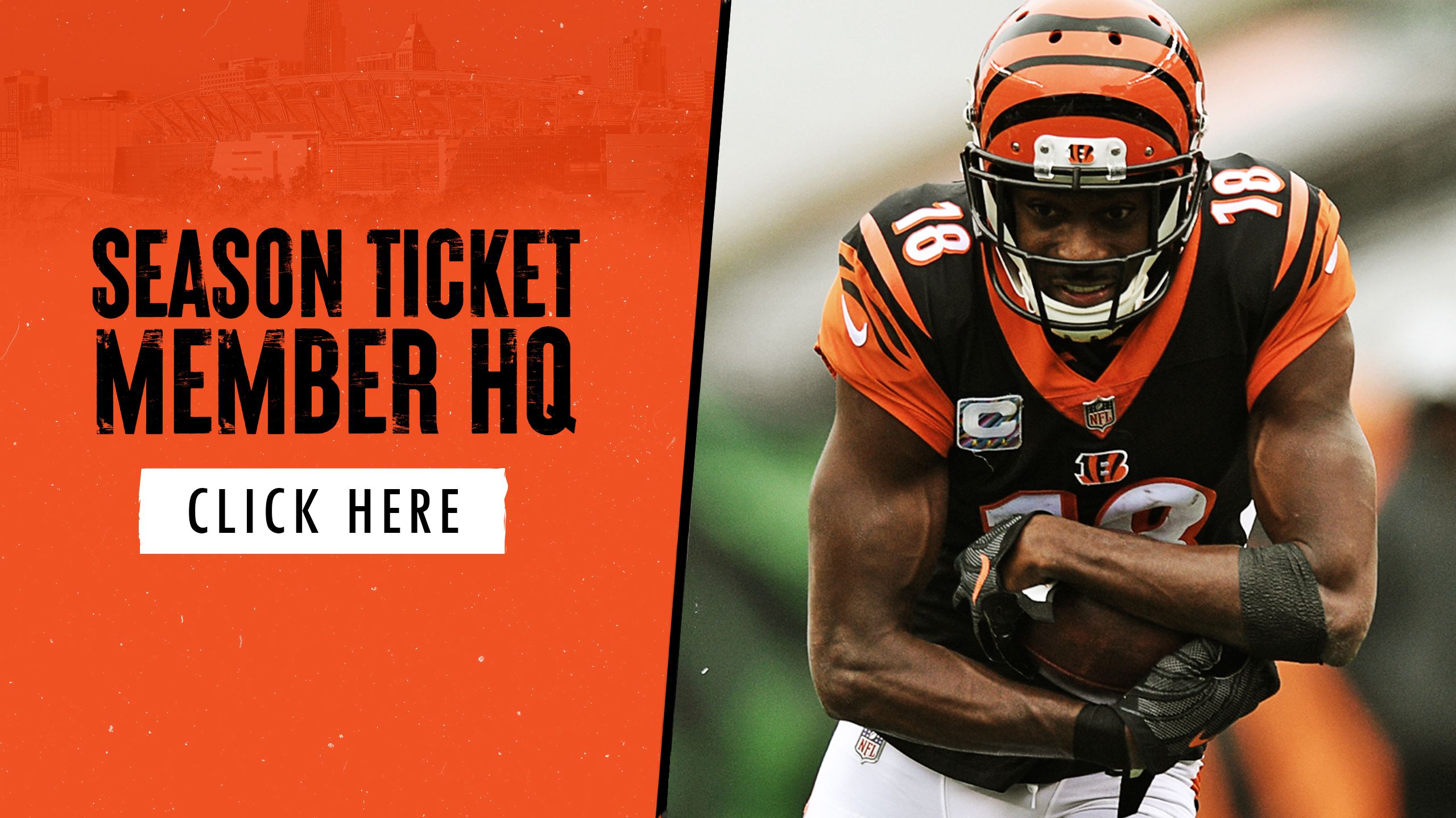 Cincinnati Bengals Tickets