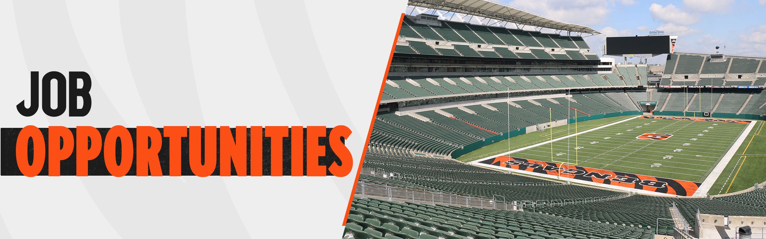 Cincinnati Bengals/Paul Brown Stadium Non-Profit Fundraising