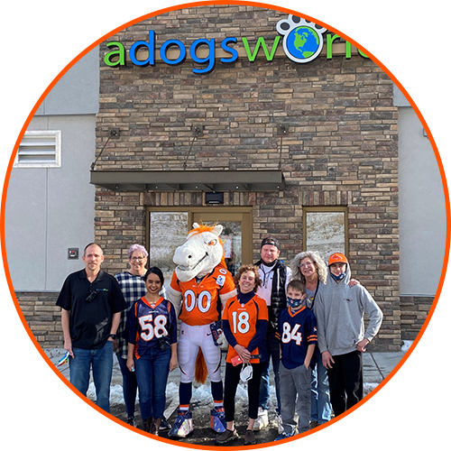 Learn more about A Dog's World