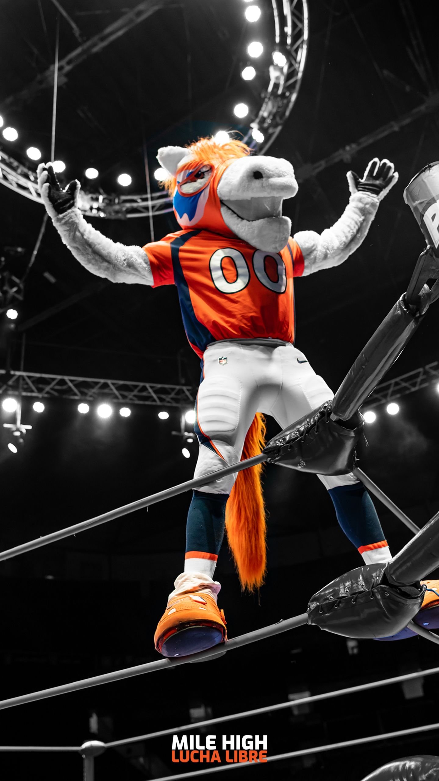 Download In the Ring mobile wallpaper for iPhone