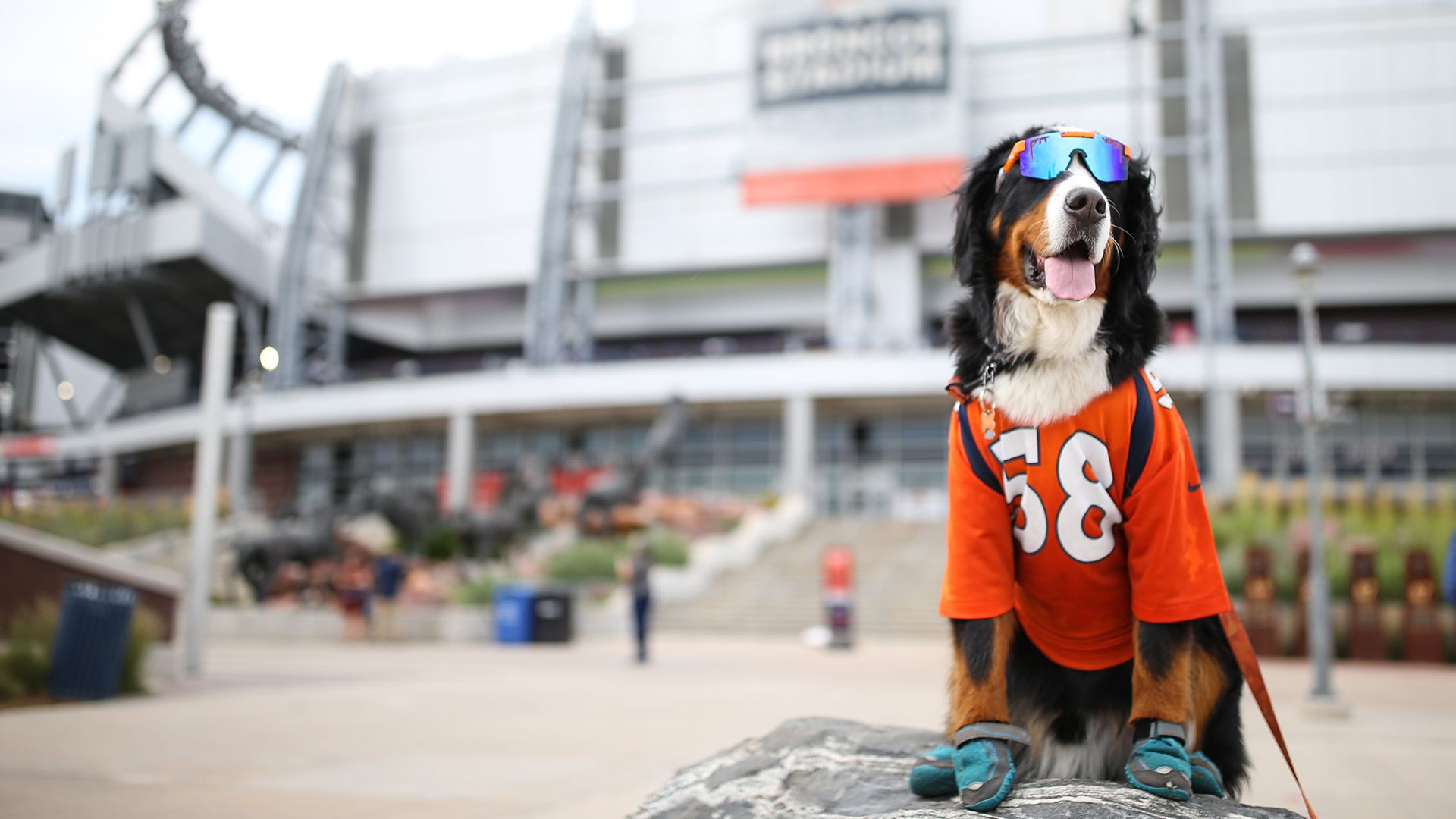 Denver Broncos Virtual Zoom Backgrounds