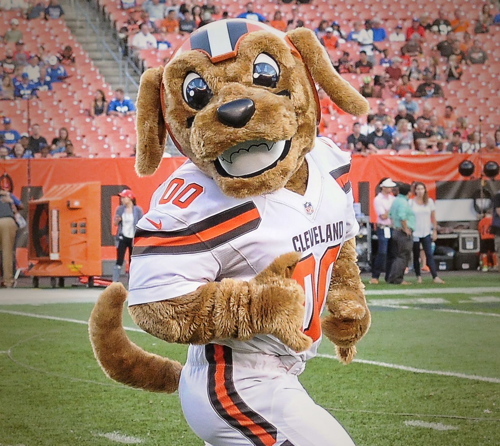 cleveland browns mascots chomps