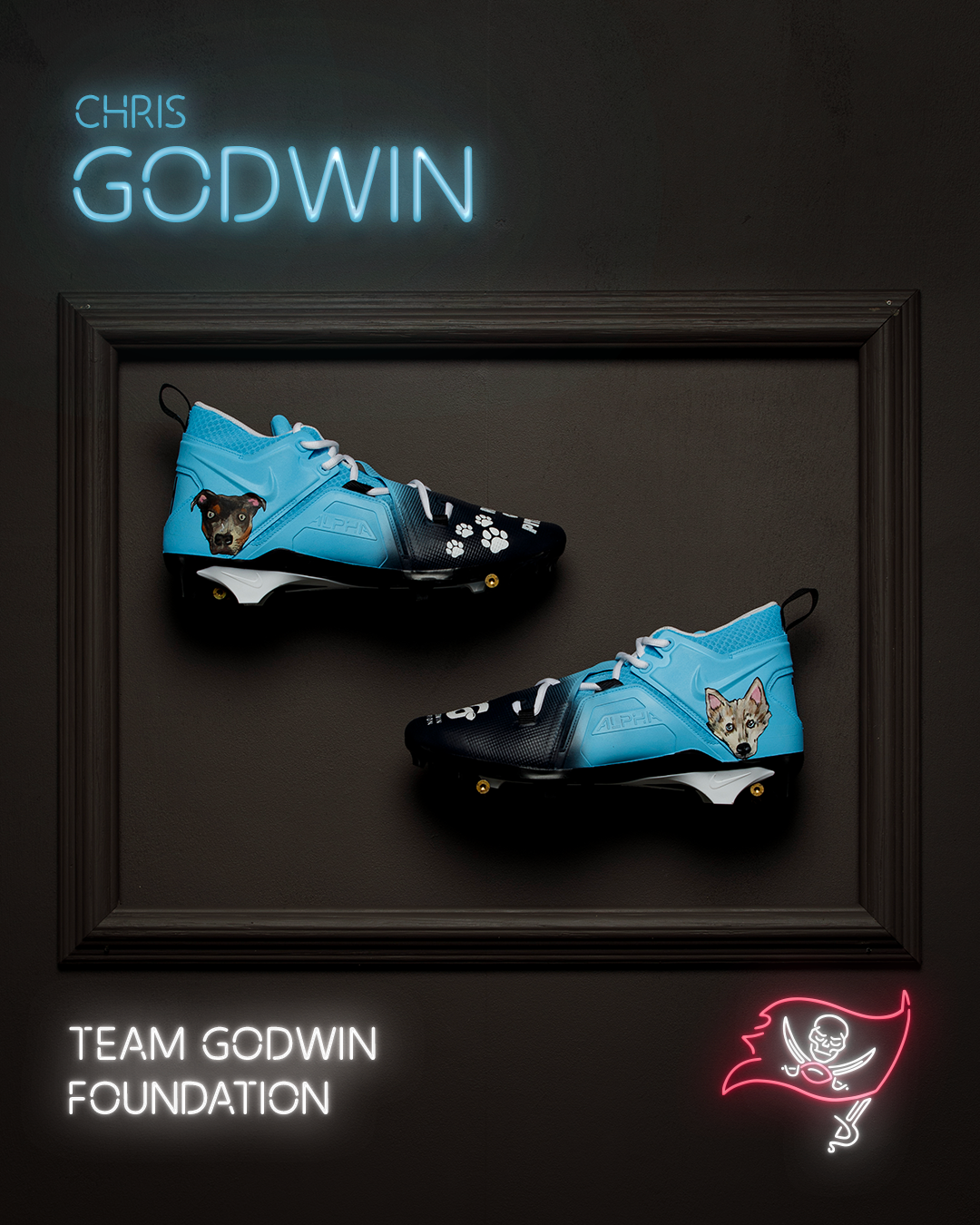 chris godwin - animal welfare