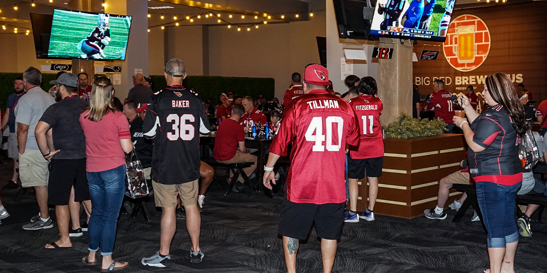 ARIZONA CARDINALS STADIUM - AROK