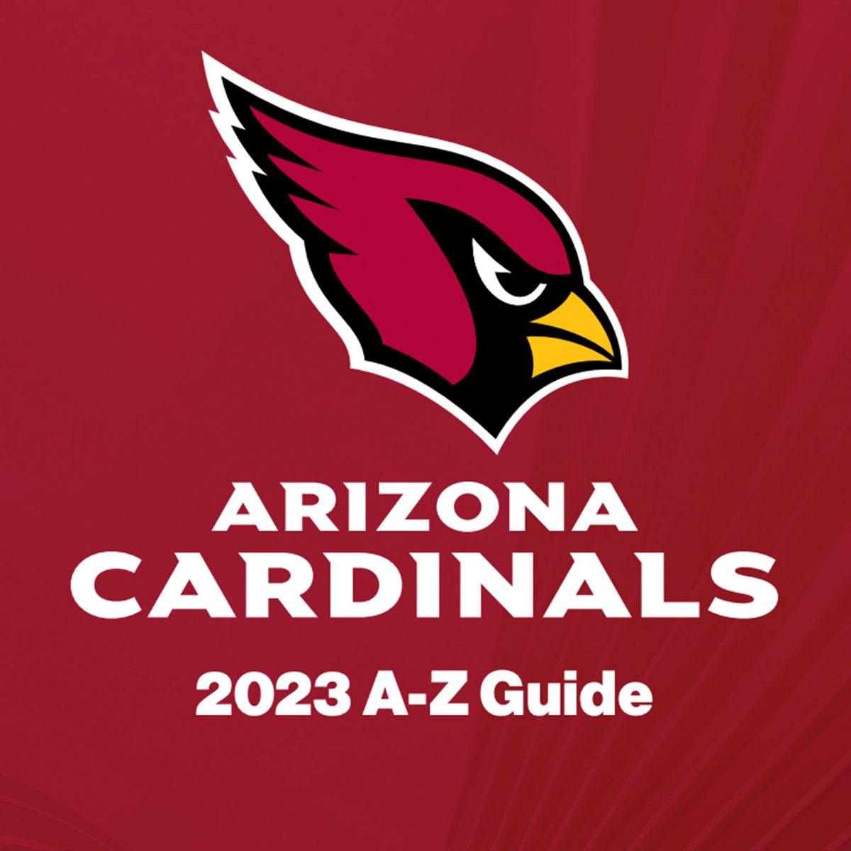 Arizona Cardinals Gameday Information