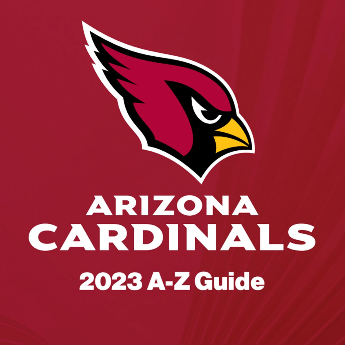 Stadium Policies, A-Z Guide