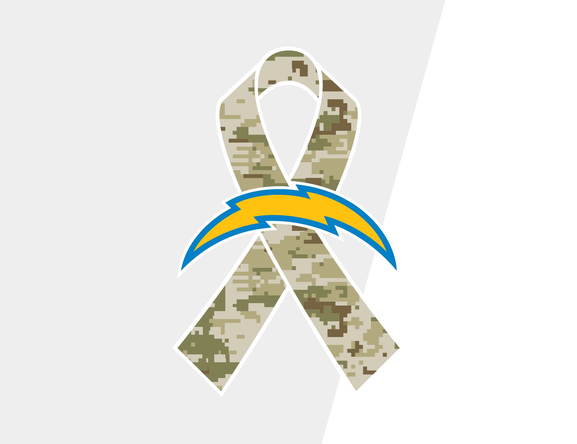Seahawks Recognize Military & Veterans for NFL's Salute to Service  Initiative