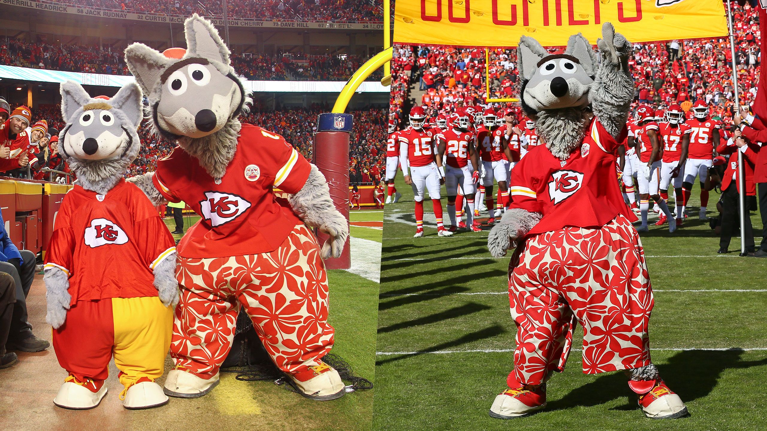 Wolf University  Kansas City Chiefs 