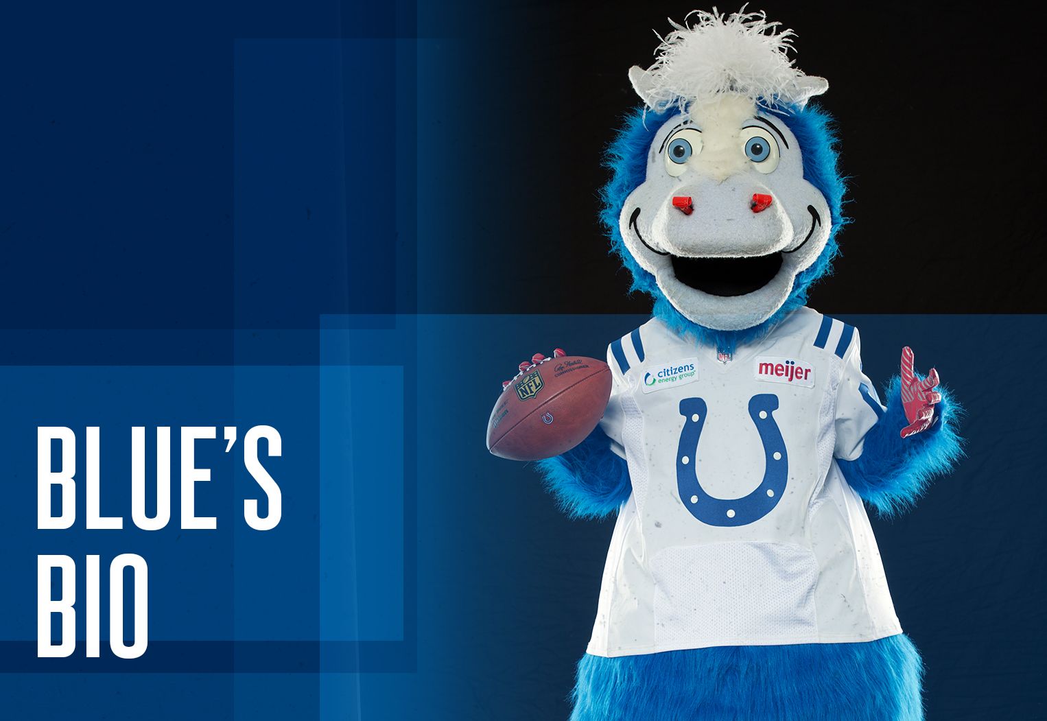 Colts Mascot - wide 5