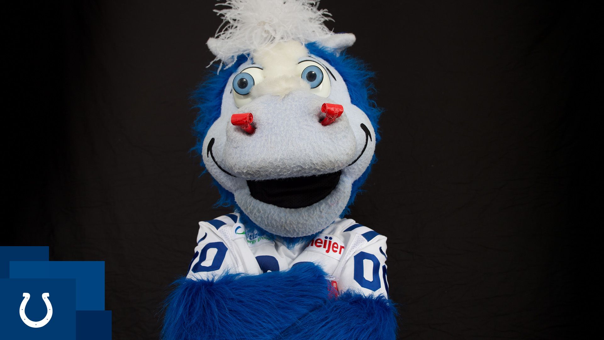 Blue, the Indianapolis Colts mascot  Indianapolis colts, Indianapolis colts  logo, Indianapolis colts football